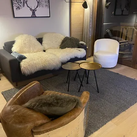 Standing Face Mont Blanc Piscine Daire Megève