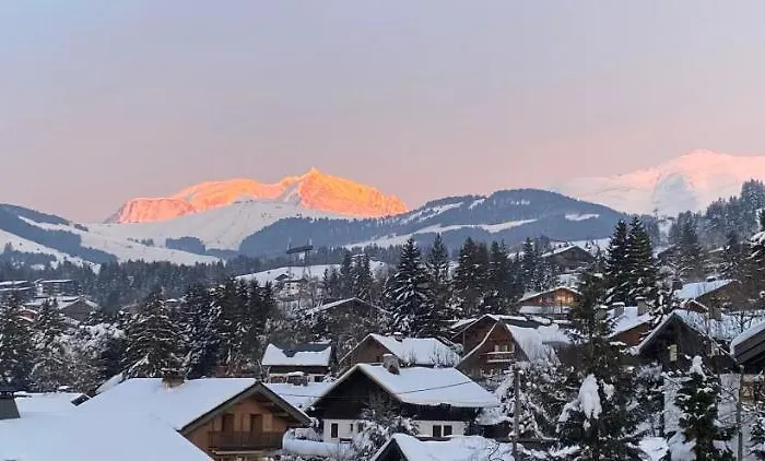 Standing Face Mont Blanc Piscine Daire Megève