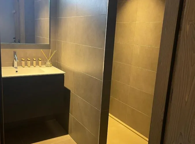 Standing Face Mont Blanc Piscine Daire *