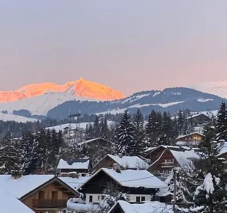 Standing Face Mont Blanc Piscine Apartmán Megève
